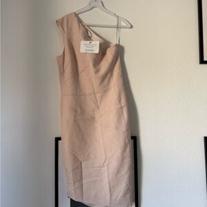 Narciso Rodriguez One-Shoulder Blush Pink Sheath Dress